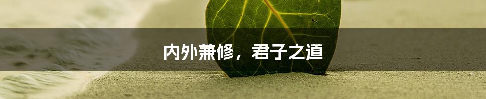 内外兼修,君子之道