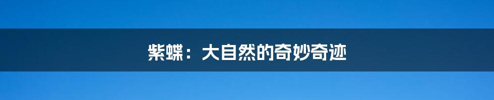 紫蝶:大自然的奇妙奇迹