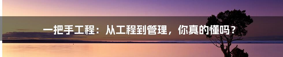 一把手工程：从工程到管理，你真的懂吗？
