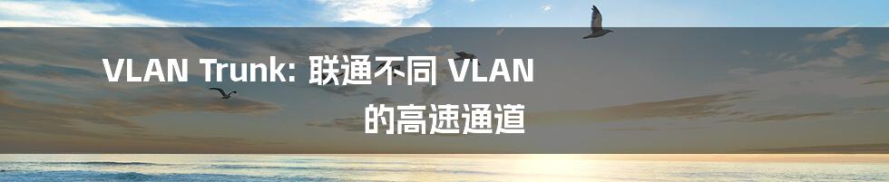 VLAN Trunk: 联通不同 VLAN 的高速通道