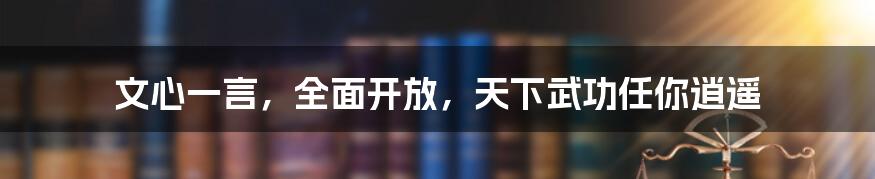 文心一言,全面开放,天下武功任你逍遥