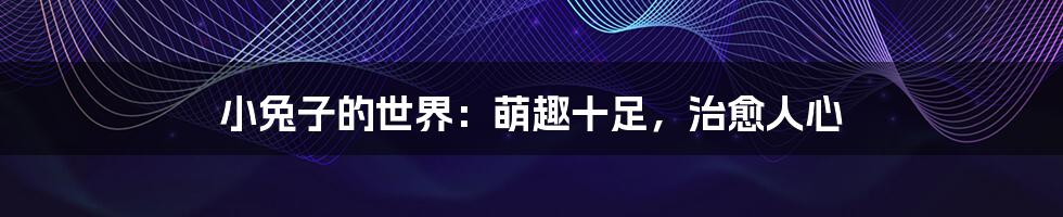 小兔子的世界：萌趣十足，治愈人心
