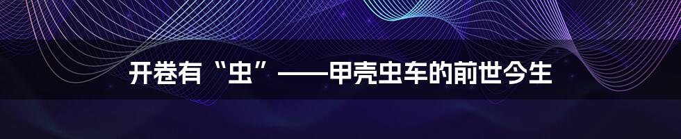 开卷有“虫”——甲壳虫车的前世今生