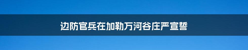 边防官兵在加勒万河谷庄严宣誓