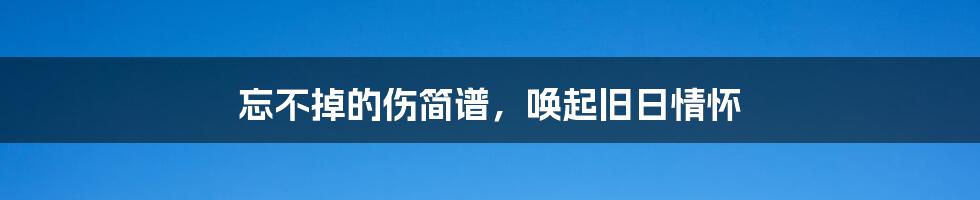 忘不掉的伤简谱,唤起旧日情怀