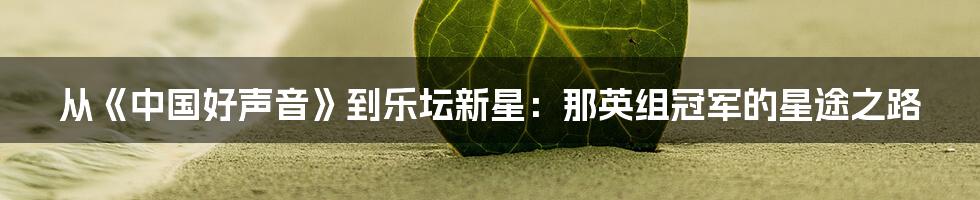 从《中国好声音》到乐坛新星：那英组冠军的星途之路