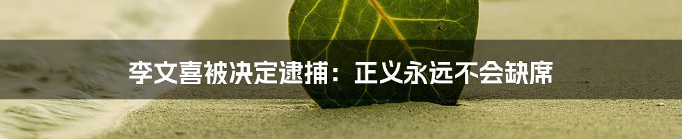 李文喜被决定逮捕:正义永远不会缺席