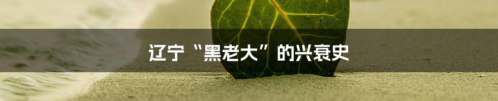 辽宁“黑老大”的兴衰史
