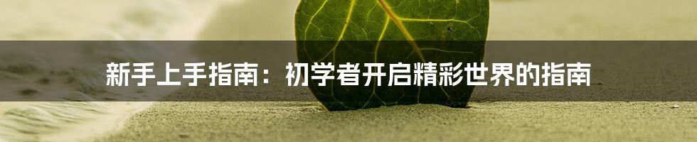 新手上手指南:初学者开启精彩世界的指南