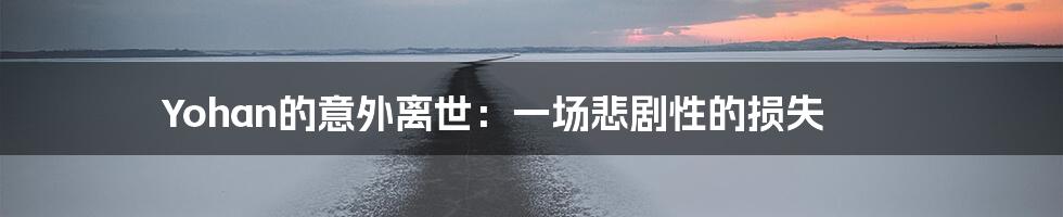Yohan的意外离世:一场悲剧性的损失