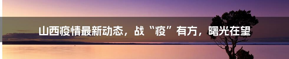 山西疫情最新动态,战“疫”有方,曙光在望