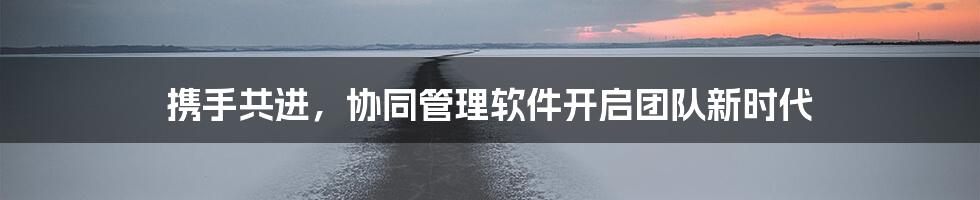 携手共进,协同管理软件开启团队新时代