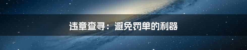 违章查寻:避免罚单的利器