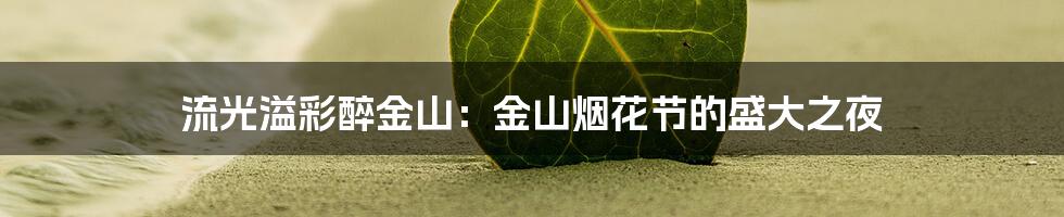 流光溢彩醉金山:金山烟花节的盛大之夜