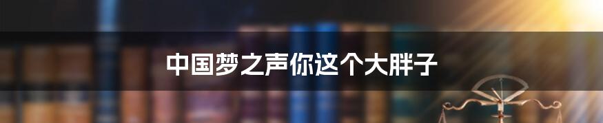 中国梦之声你这个大胖子
