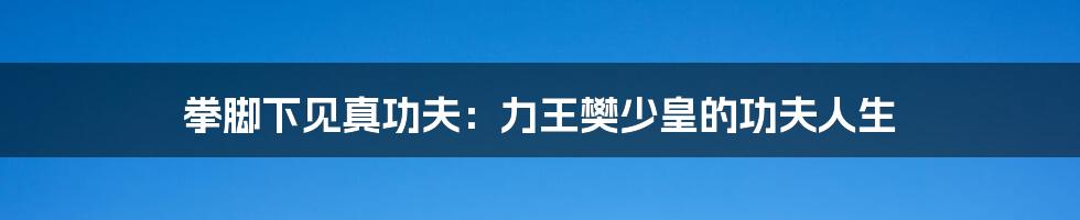 拳脚下见真功夫:力王樊少皇的功夫人生