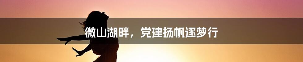 微山湖畔，党建扬帆逐梦行