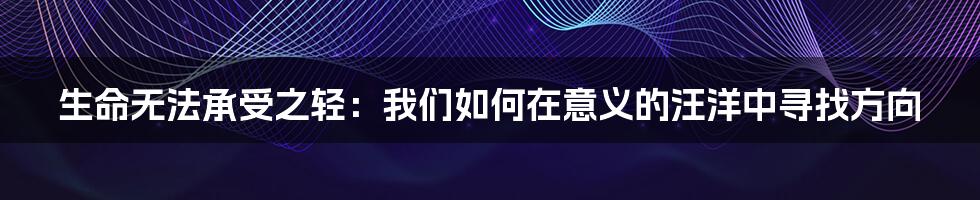 生命无法承受之轻:我们如何在意义的汪洋中寻找方向