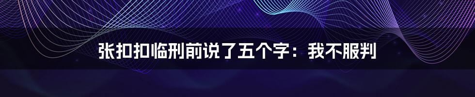 张扣扣临刑前说了五个字:我不服判