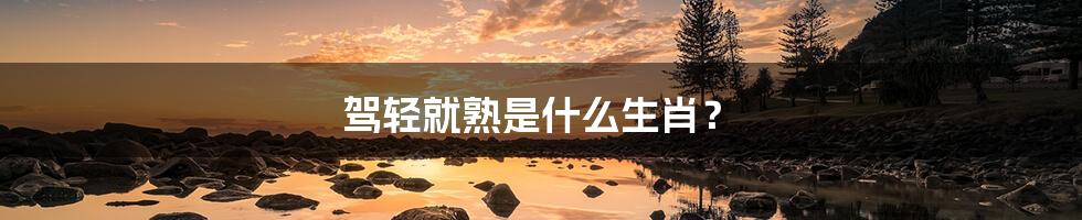 驾轻就熟是什么生肖?