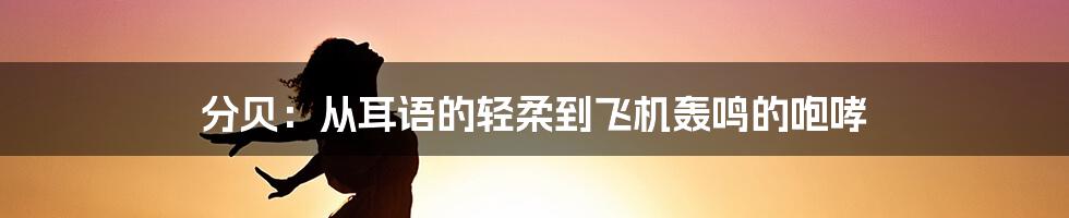 分贝:从耳语的轻柔到飞机轰鸣的咆哮