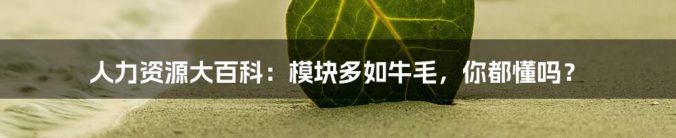 人力资源大百科:模块多如牛毛,你都懂吗?