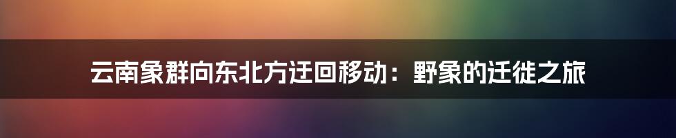 云南象群向东北方迂回移动:野象的迁徙之旅