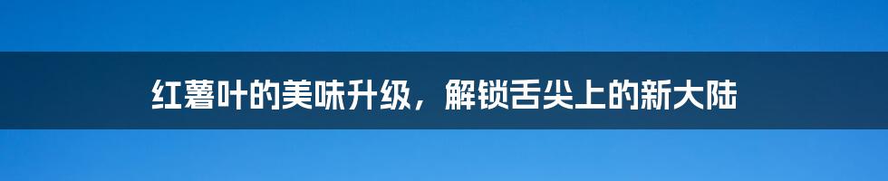 红薯叶的美味升级,解锁舌尖上的新大陆