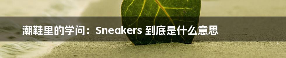 潮鞋里的学问：Sneakers 到底是什么意思