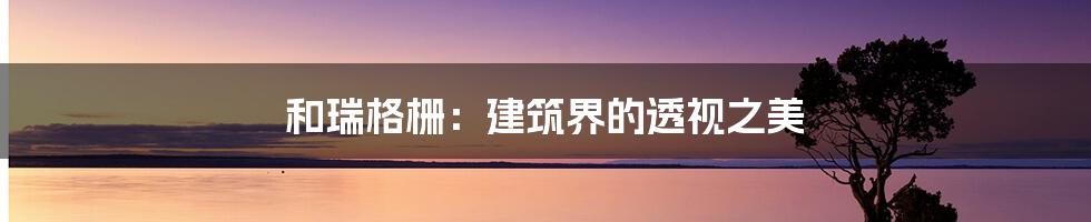 和瑞格栅:建筑界的透视之美