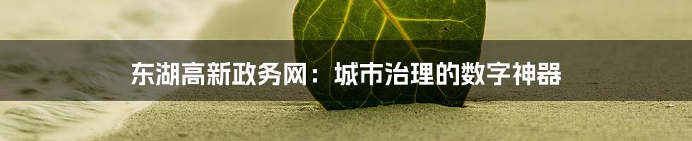 东湖高新政务网：城市治理的数字神器