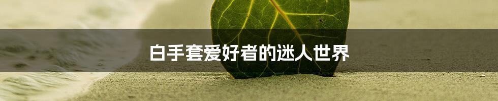 白手套爱好者的迷人世界