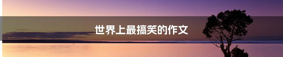 世界上最搞笑的作文