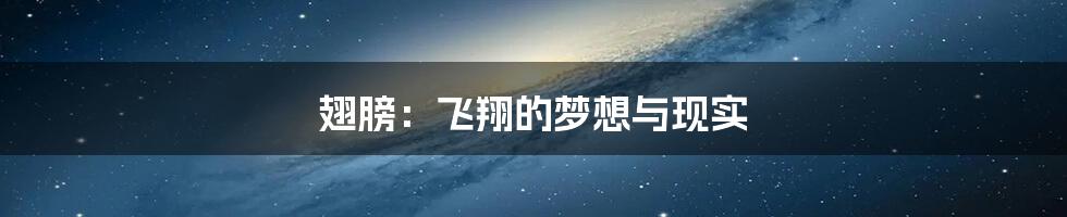 翅膀：飞翔的梦想与现实