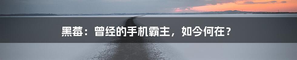 黑莓:曾经的手机霸主,如今何在?