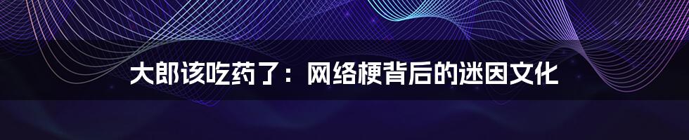 大郎该吃药了:网络梗背后的迷因文化