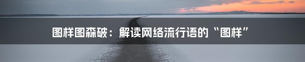 图样图森破:解读网络流行语的“图样”