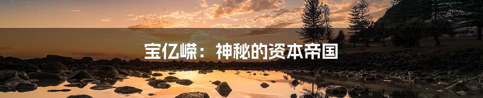 宝亿嵘:神秘的资本帝国