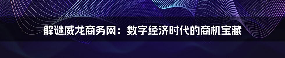解谜威龙商务网:数字经济时代的商机宝藏
