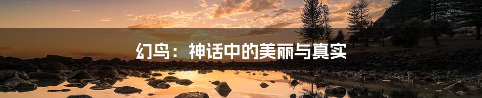 幻鸟：神话中的美丽与真实