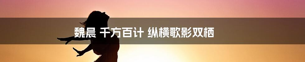 魏晨 千方百计 纵横歌影双栖