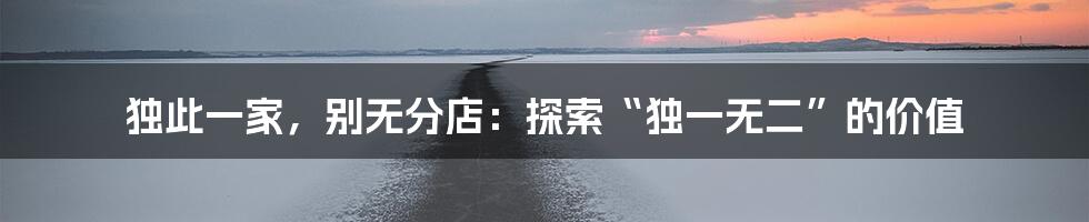 独此一家，别无分店：探索“独一无二”的价值