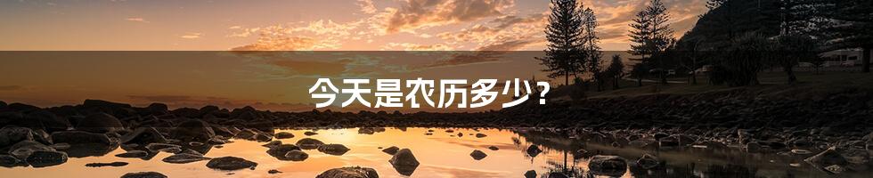 今天是农历多少？