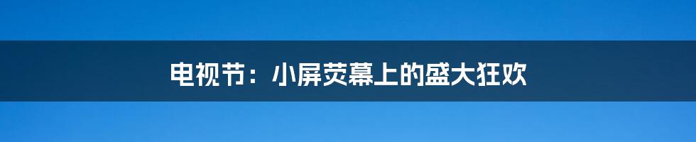电视节:小屏荧幕上的盛大狂欢