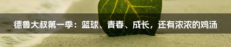 德鲁大叔第一季:篮球、青春、成长,还有浓浓的鸡汤