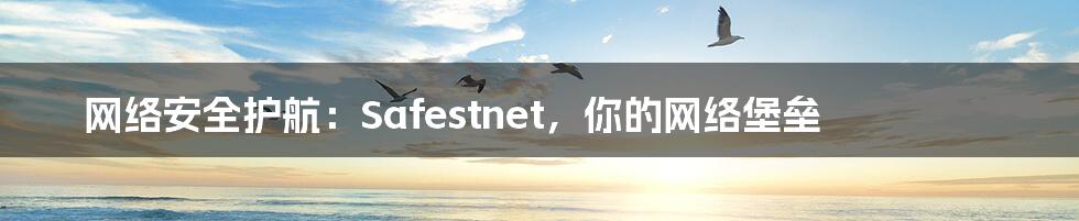 网络安全护航:Safestnet,你的网络堡垒