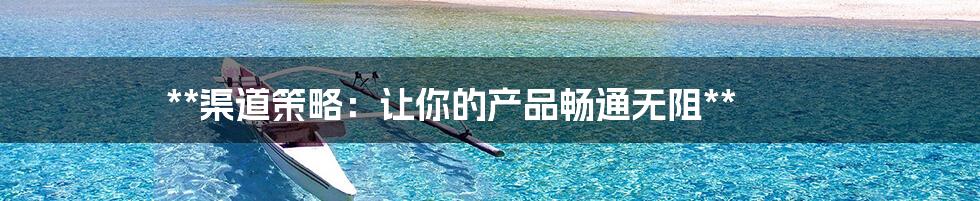 **渠道策略:让你的产品畅通无阻**