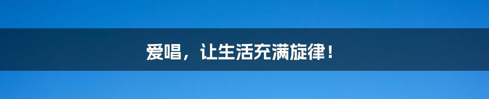 爱唱,让生活充满旋律!