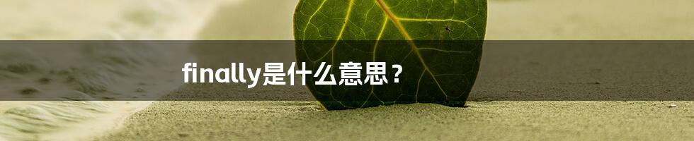 finally是什么意思?