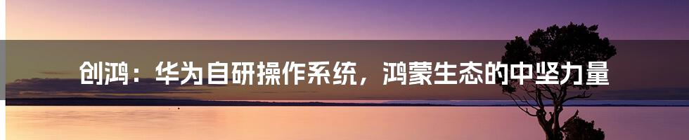 创鸿:华为自研操作系统,鸿蒙生态的中坚力量